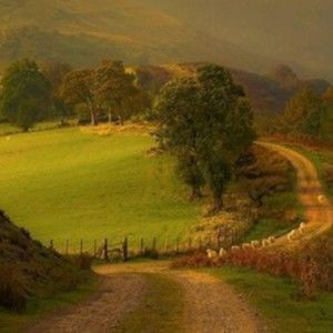 Meet your Posher, Teddy